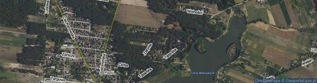 Zdjęcie satelitarne Biwakowa ul.